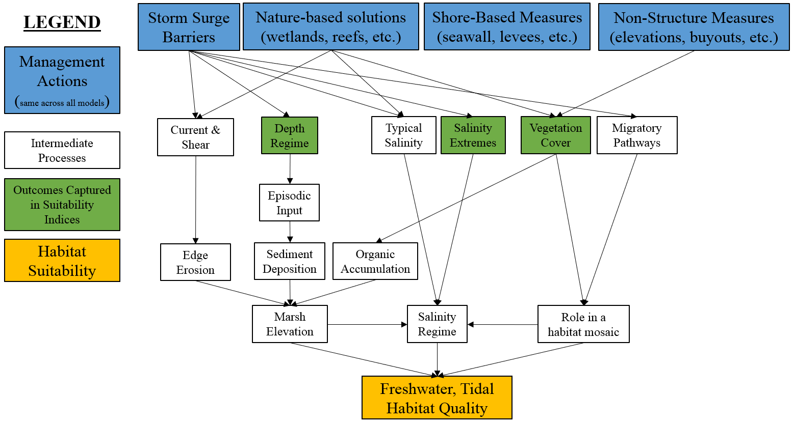 Conceptual model for the freshwater, tidal submodel.