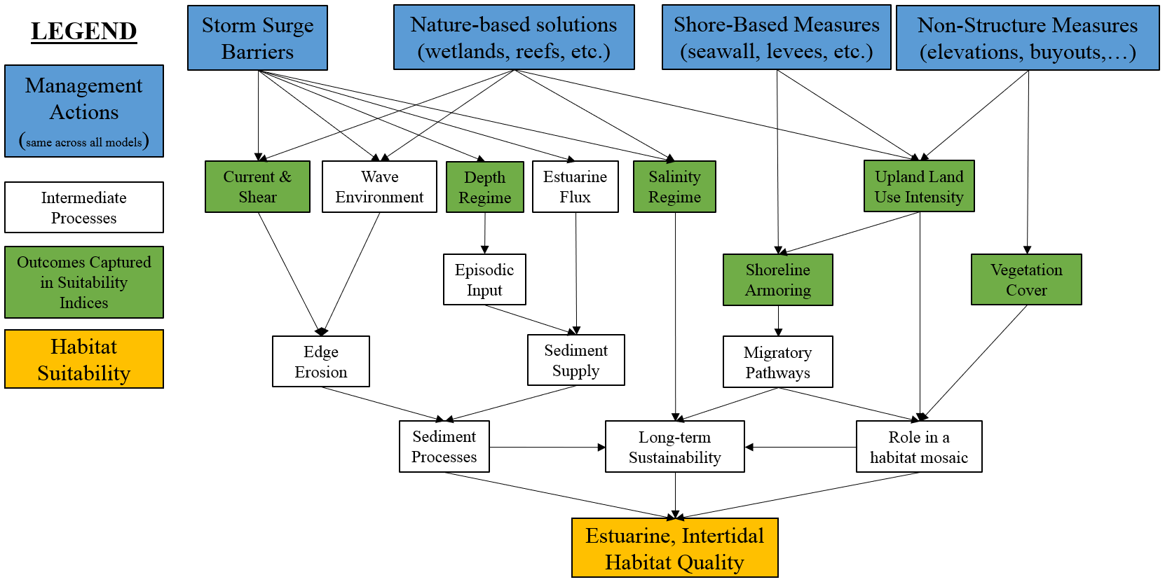 Conceptual model for the estuarine, intertidal submodel.