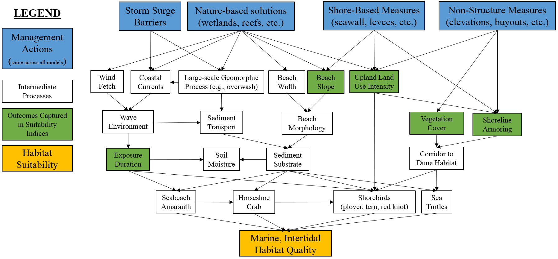 Conceptual model for the marine, intertidal submodel.