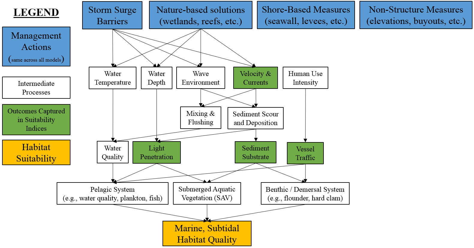 Conceptual model for the marine, subtidal submodel.