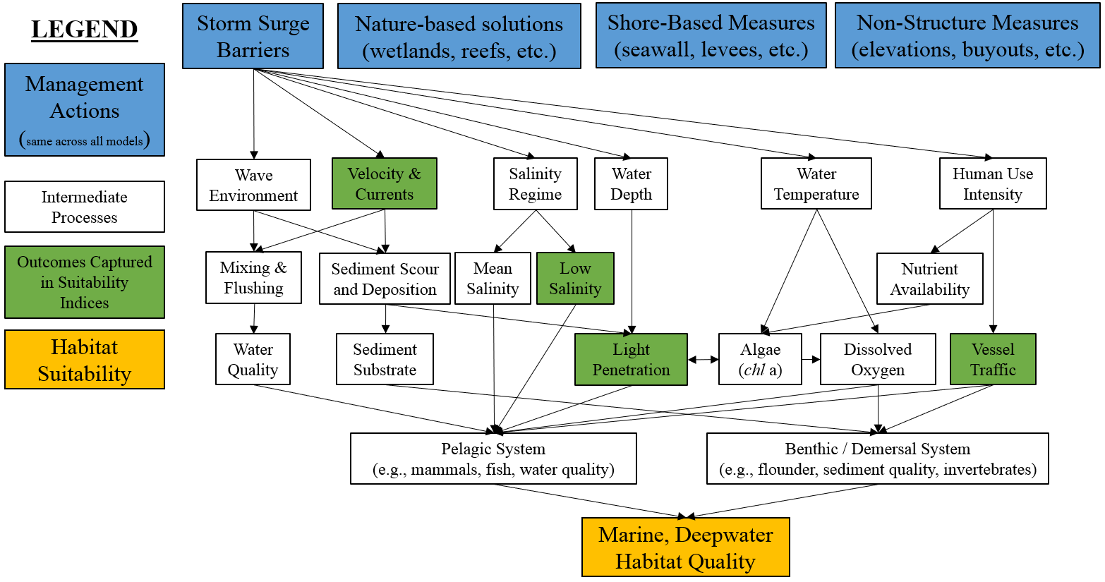 Conceptual model for the marine, deepwater submodel.